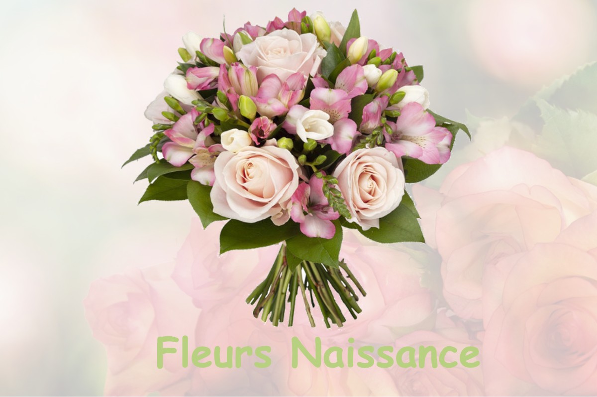 fleurs naissance DANNEVOUX